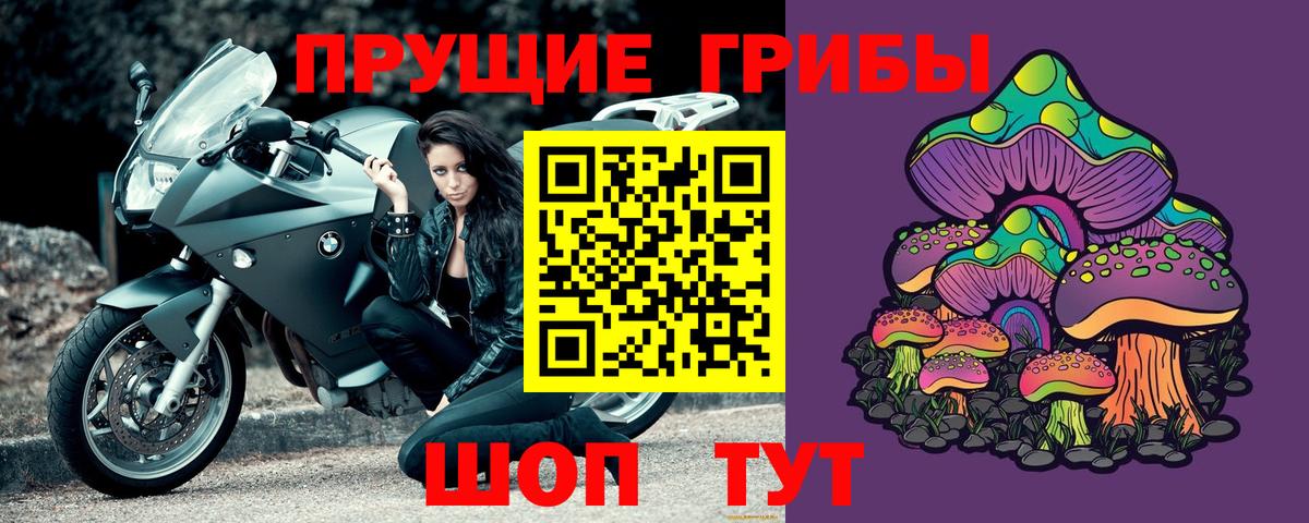 Псилоцибиновые грибы Psilocybine cubensis  Вход с VPN  Псилоцибиновые грибы Psilocybine cubensis  Лянтор 